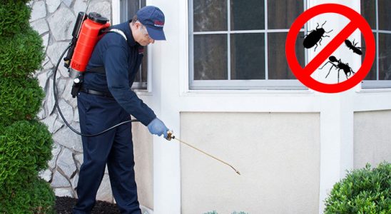 Villakent Böcek ve Haşere İlaçlama böcek ilaçlama ve haşere kontrolü — ilaclama-tr.com